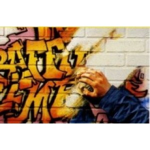 Lac Antigraffiti, Graffitishield Hydro, 10 Litri
