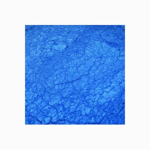 Pigment Metalic Albastru / Magic Blue 50Gr.