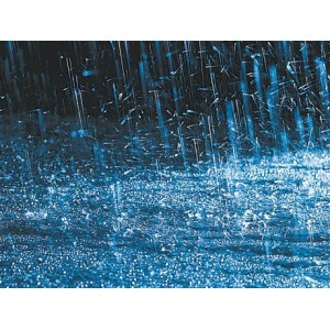 Kit Reparatie Fisuri Fillcoat Fibres 1 Litru