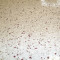 Vopsea Epoxidica Garaj Crem RAL 1015-Trafic Auto 5 Kg Epoxy Floor