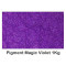 Pigment Metalic Magic Violet 1Kg.