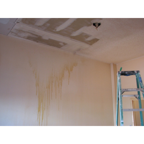 Amorsa, Spray, Zinsser Bin, 400ml