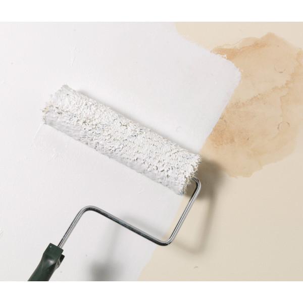 Amorsa, Zinsser Bin, 10 Litri