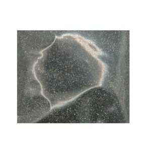 Sclipici Holografic FX Black Rainbow 100 Gr.