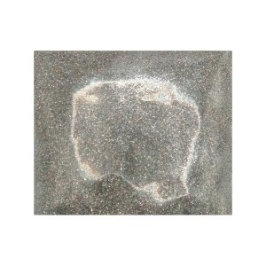 Sclipici Holografic FX Silver Rainbow 100 Gr.
