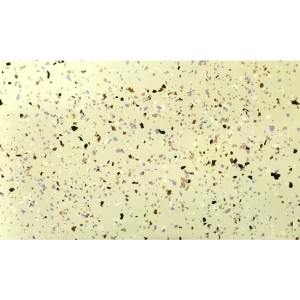Set Vopsea Epoxidica Crem Cappucino