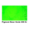 Pigment Neon WG Green 200Gr.