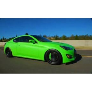 Pigment Neon WG Green 1 Kg