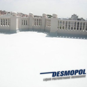 Accelerator Reactie Desmoplus 500 ML Tecnopol