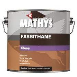 Fassithane Gloss 2.5 Litri Mathys