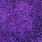 Sclipici Holografic FX Purple 100 Gr.