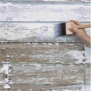 Sigilant Multisuprafete, Zinsser Peel Stop, Satin, 1 Litru