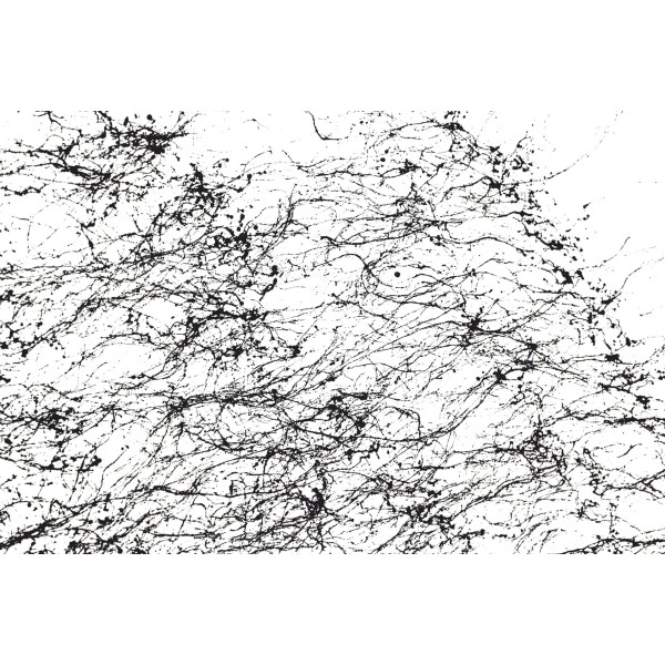 Spider, Black, Montana, 150 ml