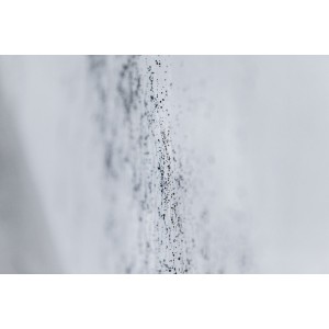 Spider, Black, Montana, 150 ml