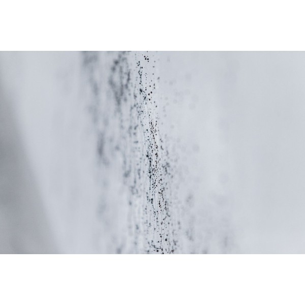 Spider, Black, Montana, 150 ml