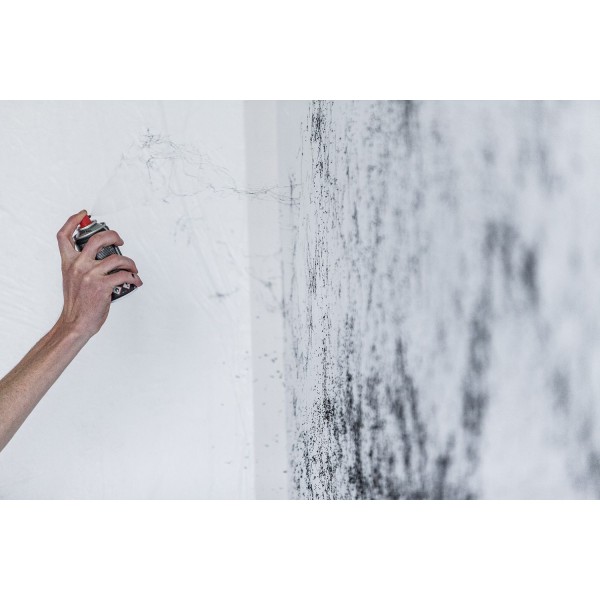 Spider, Black, Montana, 150 ml